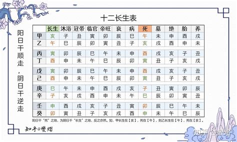 長生右手地支|八字之十二長生表詳解